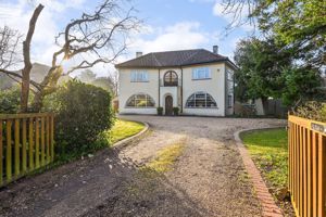 Front- click for photo gallery